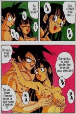 DBZ DragonBall H : page 17