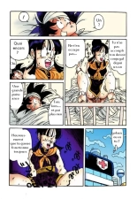 DBZ En route vers Namek : page 13